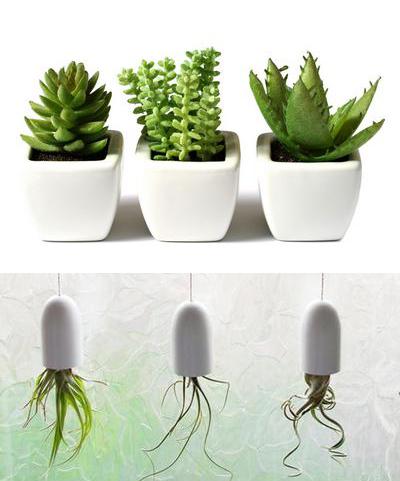 室內(nèi)擺放植物，起到綠色節(jié)能降耗